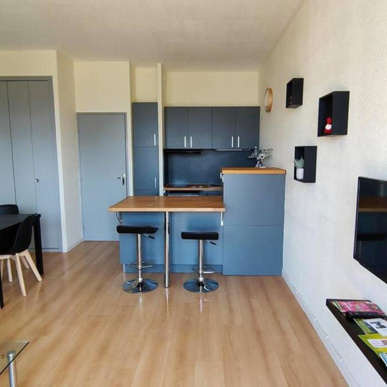 Bel appartement 45m2 rez de chaussée plein sud - Appartement 1 Chambre - 19
