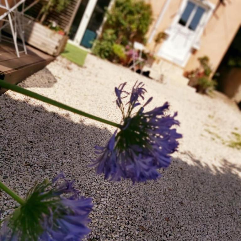 Charmant Studio sur cour à LYON 9e Mont d'or - Appartement 1 Chambre - 20