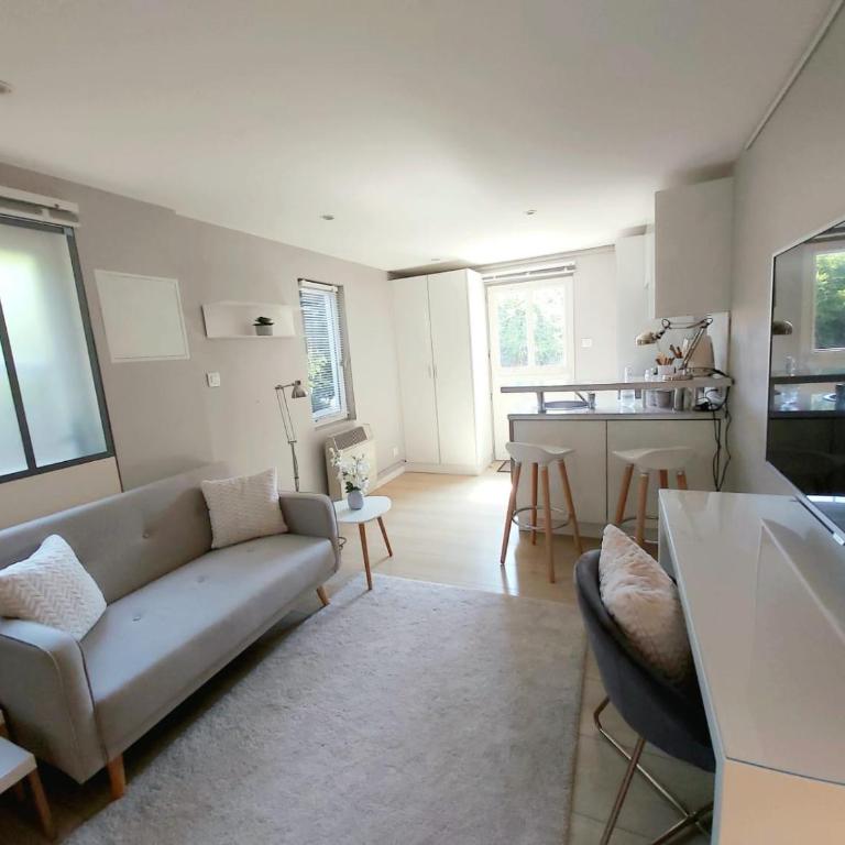 Charmant Studio sur cour à LYON 9e Mont d'or - Appartement 1 Chambre - 9