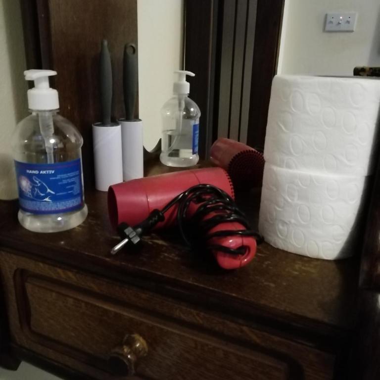 Sokobanja apartman Aviva - Apartman sa 1 Spavaćom Sobom - 15