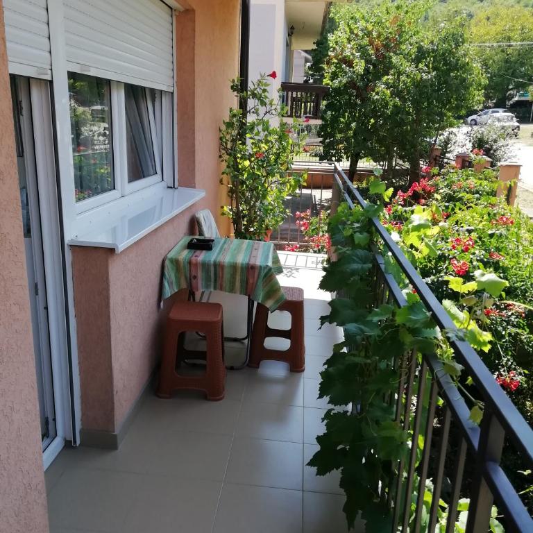 Sokobanja apartman Aviva - Apartman sa 1 Spavaćom Sobom - 10