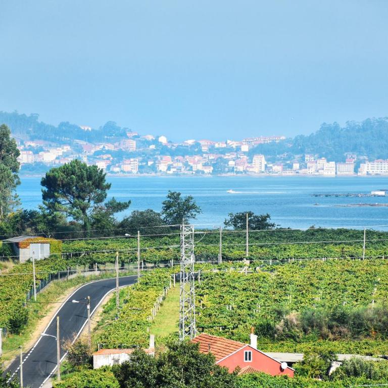 Apartamento Las Perdices - Apartamento Estándar de 2 dormitorios - 28