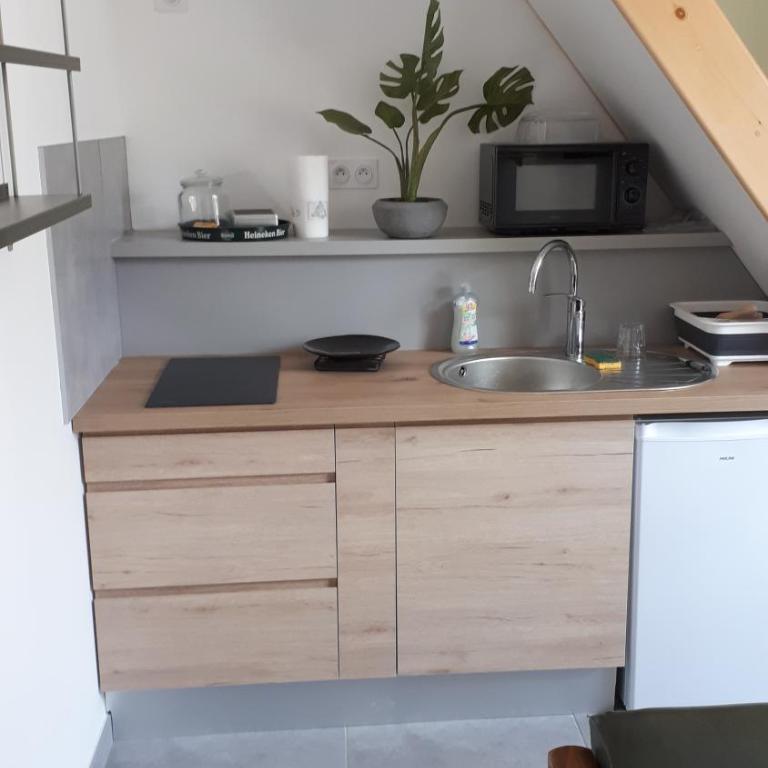 le Chartreuse / Rent4night Grenoble - Apartment mit 1 Schlafzimmer - 9