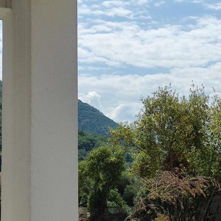 Albedo - Charming Apartment with Amazing Location - One-Bedroom Apartment - 3