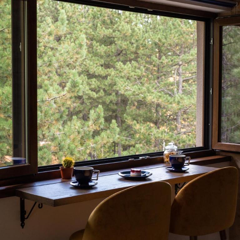 Zlatibor Apartman & Spa Casa Perfetta - Apartman sa 1 Spavaćom Sobom - 6