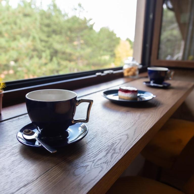 Zlatibor Apartman & Spa Casa Perfetta - Apartman sa 1 Spavaćom Sobom - 7