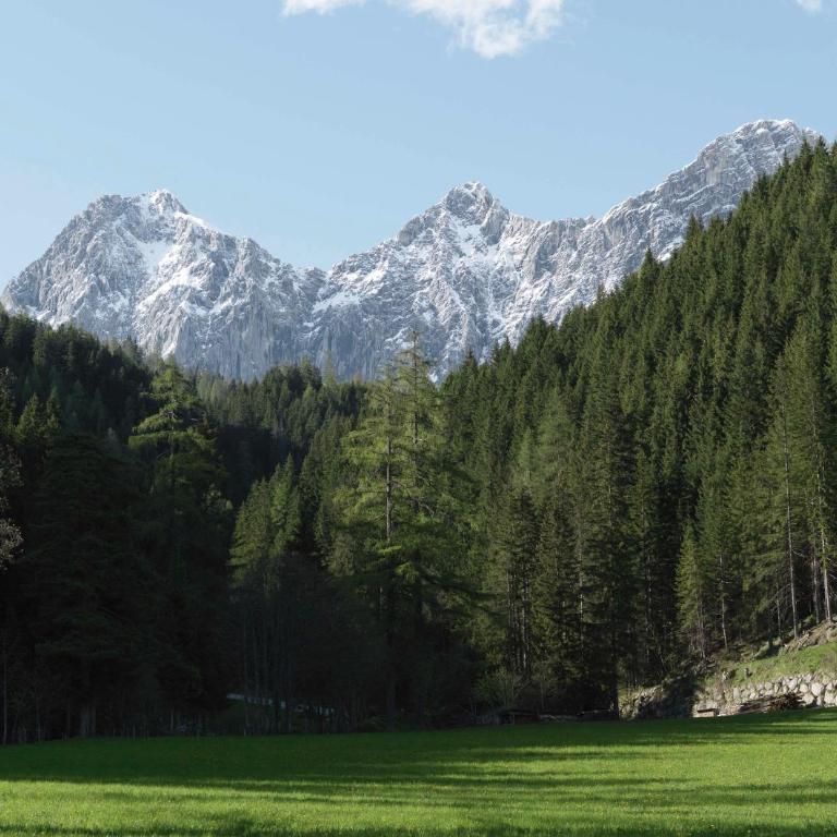 Alpenrose Boutique Chalet Gretl - Haus mit 4 Schlafzimmern - 25