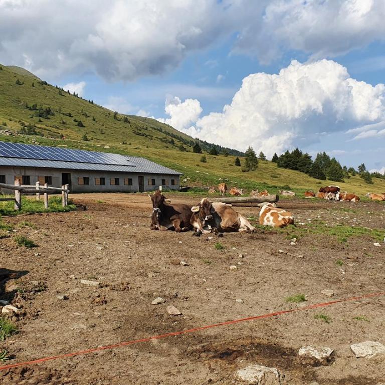 Marmot Apartment - Maisonette-Apartment - 39