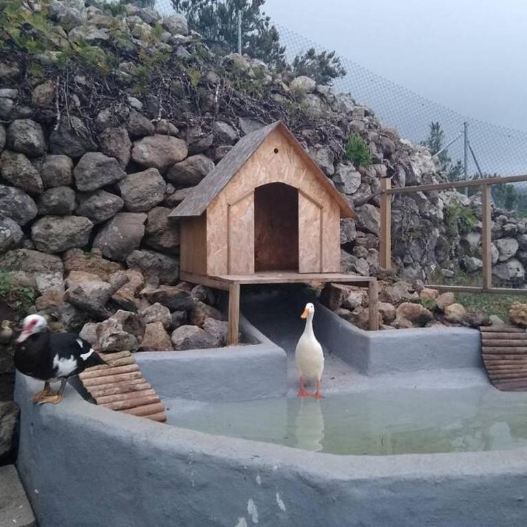 LA TAGORA Conect with the nature & relax - Chalet de 1 dormitorio - 62