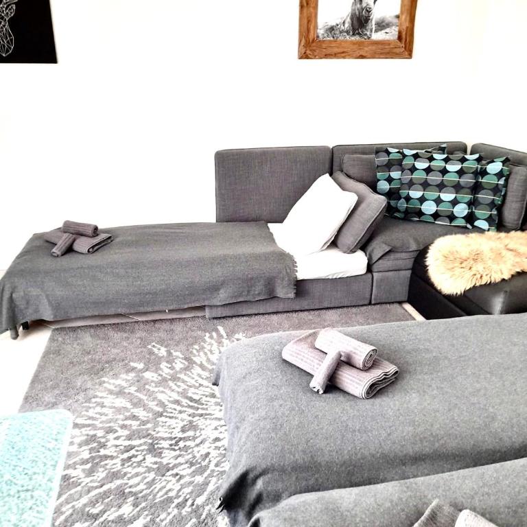Holiday Apartment Gian - close to the Kongresshaus, the ice hockey stadium, cross-country skiing, the Eau-la-la indoor pool and wellness, large supermarket, 2 bus stops, with an indoor garage and fully equipped - Apartment mit 1 Schlafzimmer - 43