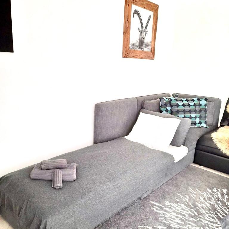Holiday Apartment Gian - close to the Kongresshaus, the ice hockey stadium, cross-country skiing, the Eau-la-la indoor pool and wellness, large supermarket, 2 bus stops, with an indoor garage and fully equipped - Apartment mit 1 Schlafzimmer - 40