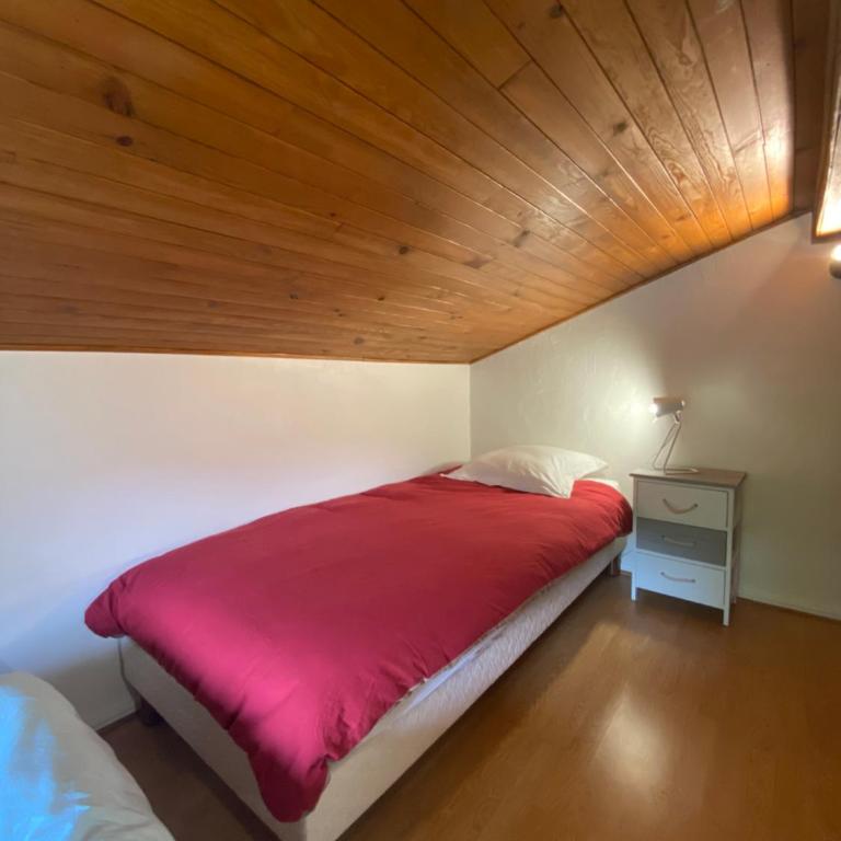 Logement mansardé dans maison avec jardin en bord de piste, vue montagne - Appartement 2 Chambres - 7
