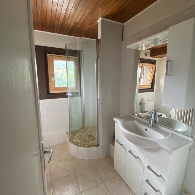Logement mansardé dans maison avec jardin en bord de piste, vue montagne - Appartement 2 Chambres - 11