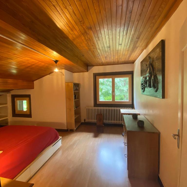 Logement mansardé dans maison avec jardin en bord de piste, vue montagne - Appartement 2 Chambres - 4