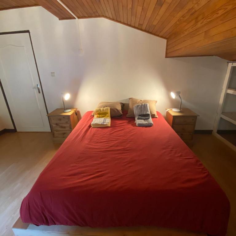 Logement mansardé dans maison avec jardin en bord de piste, vue montagne - Appartement 2 Chambres - 5