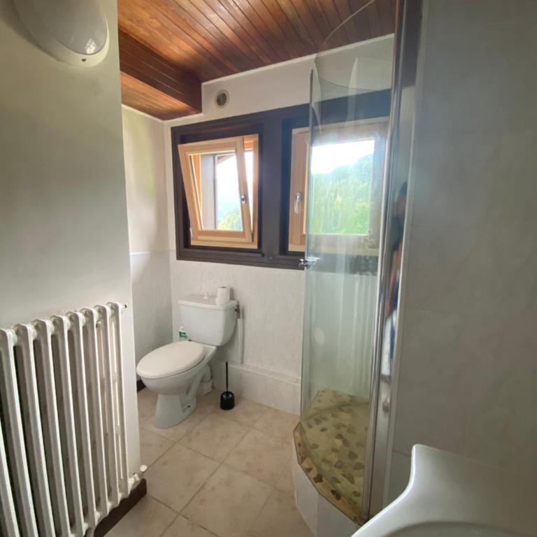 Logement mansardé dans maison avec jardin en bord de piste, vue montagne - Appartement 2 Chambres - 12