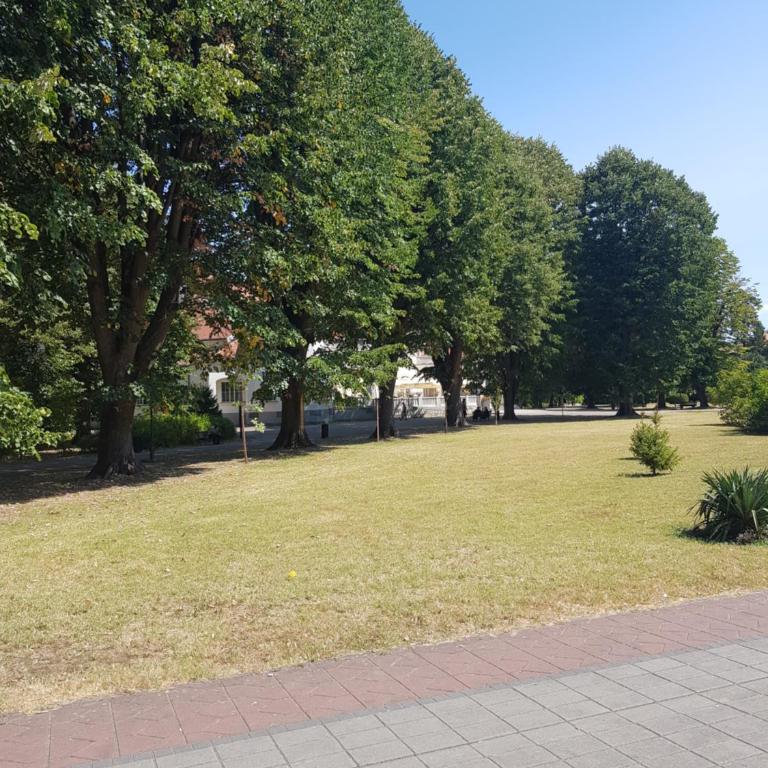 Apartman Majaa - Apartman sa 1 Spavaćom Sobom - 20