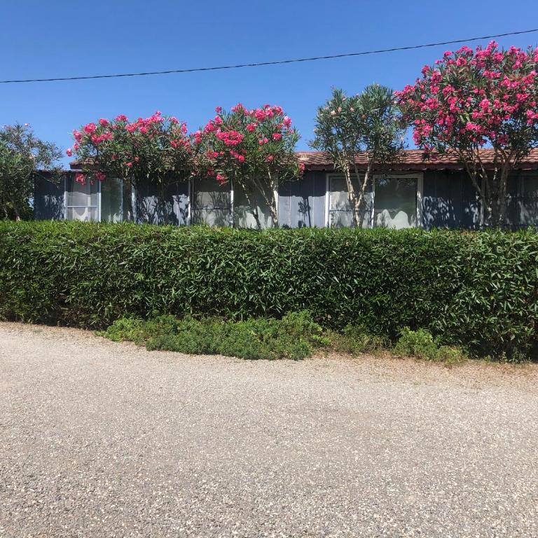 BUNGALOW 60 M2 - Bungalow 2 Chambres - 25