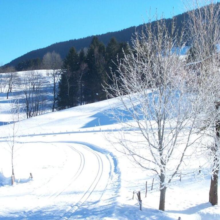 Ferienwohnung AlpenGlück im Ferienpark Oberallgäu mit Hallenbad, Sauna, WLAN - Apartment with Balcony - 43