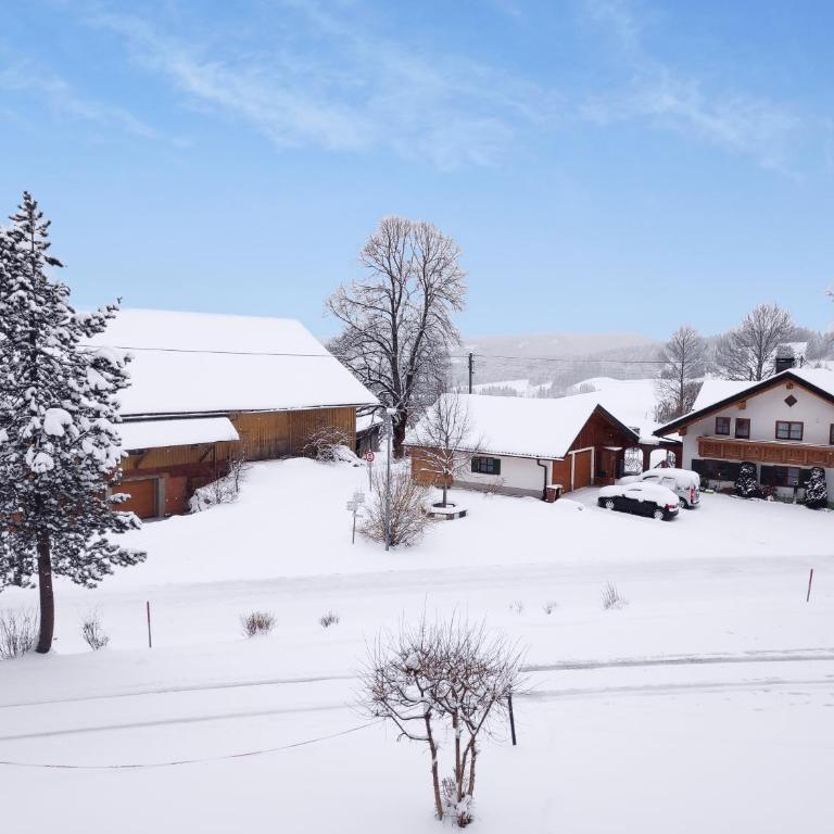 Ferienwohnung AlpenGlück im Ferienpark Oberallgäu mit Hallenbad, Sauna, WLAN - Apartment with Balcony - 41