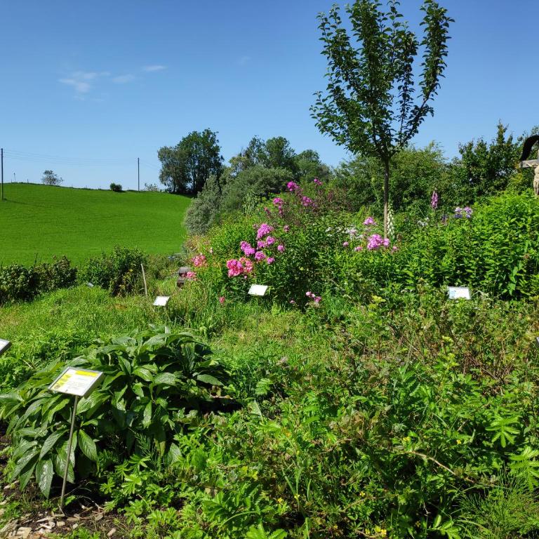 Ferienwohnung AlpenGlück im Ferienpark Oberallgäu mit Hallenbad, Sauna, WLAN - Apartment with Balcony - 52