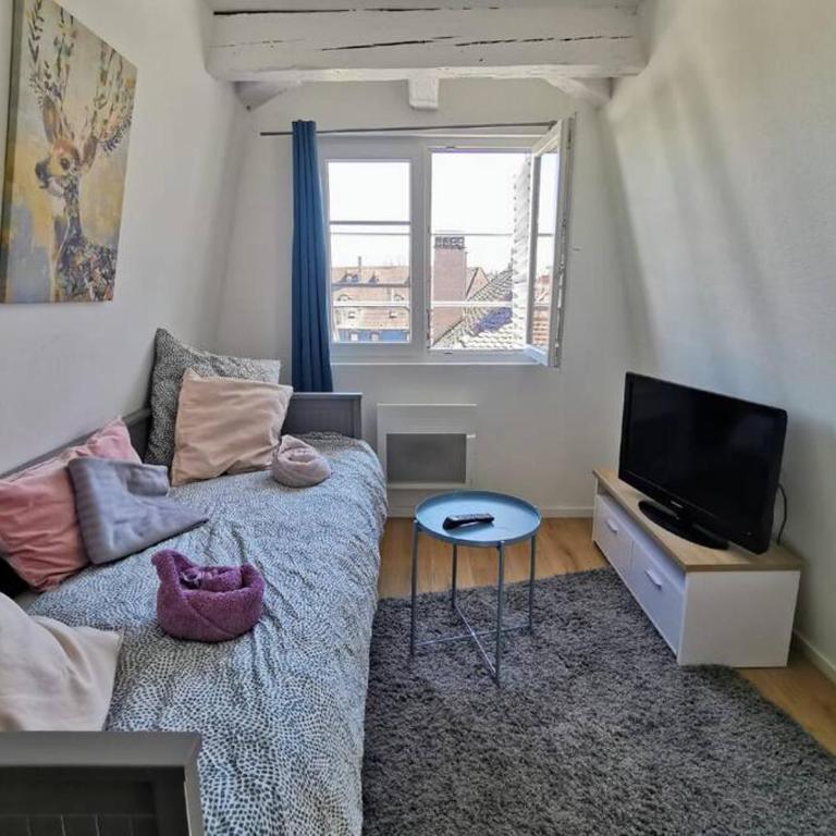 ** appartement cathédrale Strasbourg centre** - Apartamento de 1 dormitorio - 2