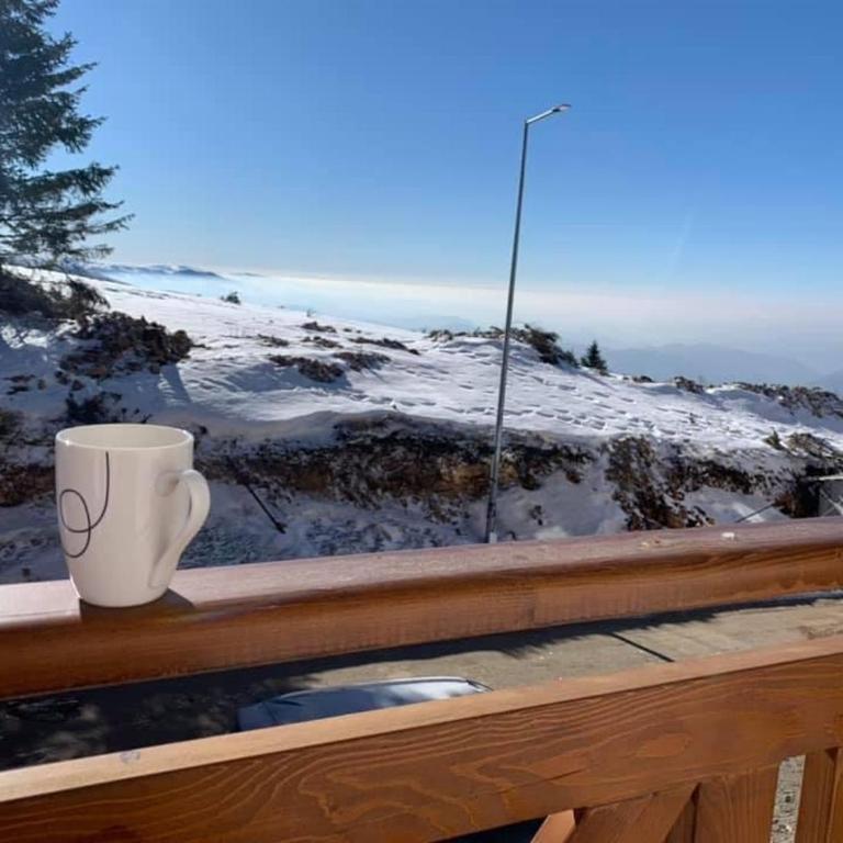 Mr Alek - Luxury Apartment Kopaonik - Deluxe Apartment - 26