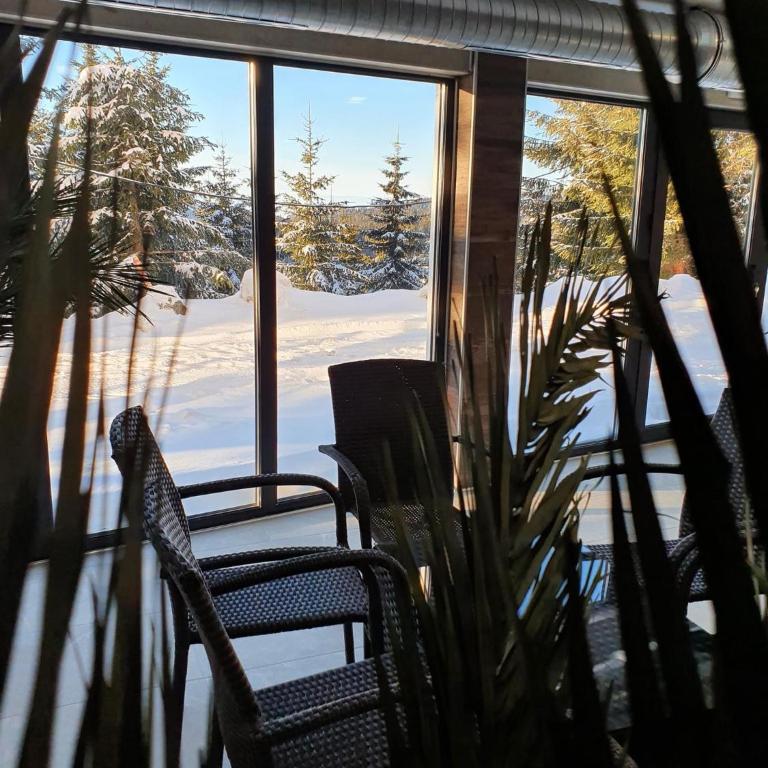 Mr Alek - Luxury Apartment Kopaonik - Deluxe Apartment - 33