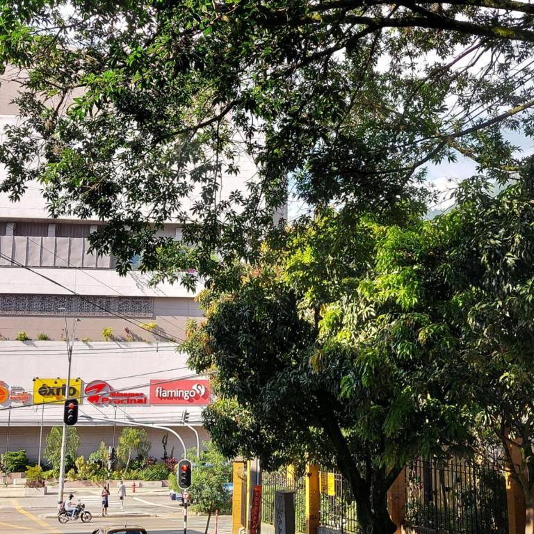 Apartamento Centro Comercial la Central - 3 Habitaciones - Three-Bedroom Apartment - 18