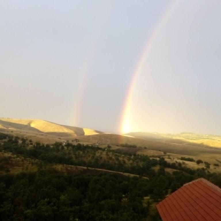 Vila Bliznakinja B - Apartman sa 1 Spavaćom Sobom - 3