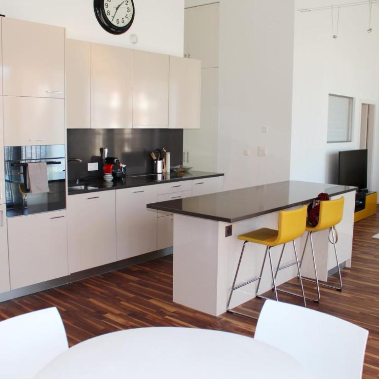 Superb Loft In The Center Of Lausanne - Apartment - 8