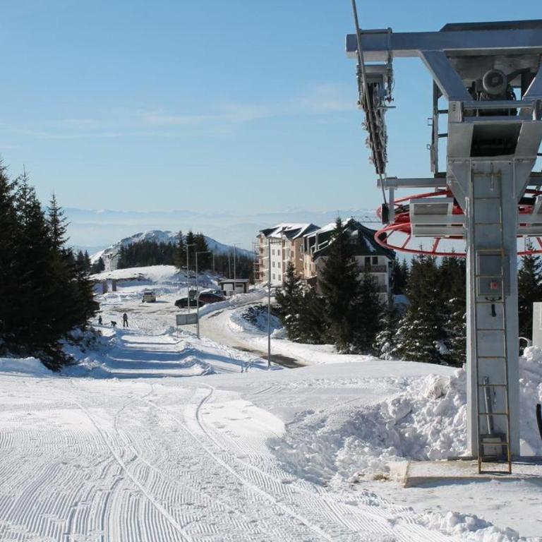 Mr Alek - Luxury Apartment Kopaonik - Deluxe Apartment - 48