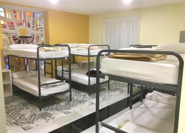 Albergue Internacional de Llanes - Cama individual en habitación compartida - 3