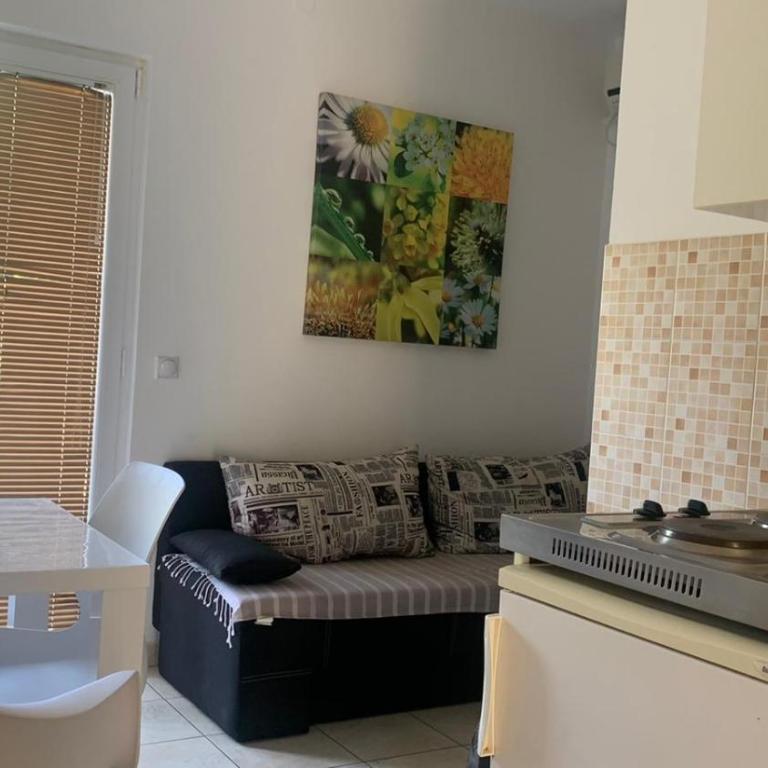 Apartments Beba Zalad - One-Bedroom Apartment with Balcony (4 Adults) - 5