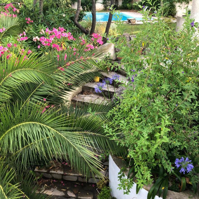 L’appartement - Jardin Secret - Apartment mit Terrasse - 39