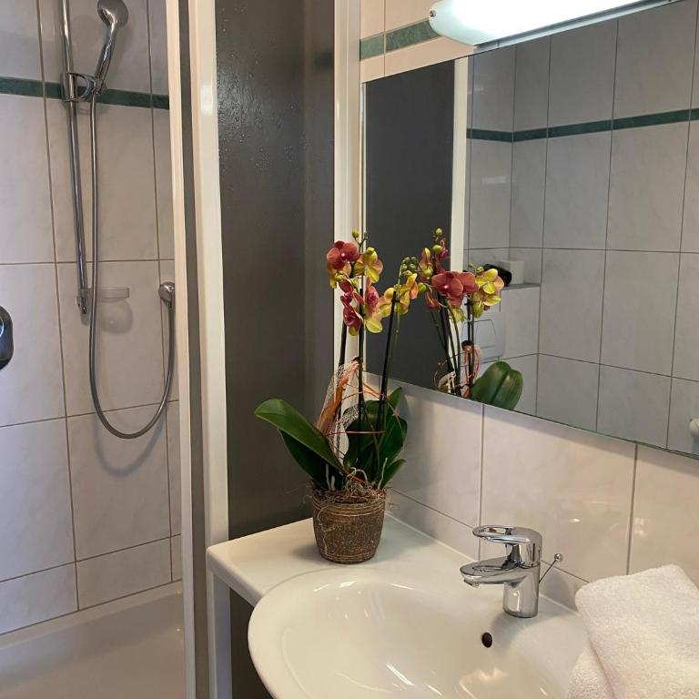 Apartment 54 - Studio-Apartment - 3