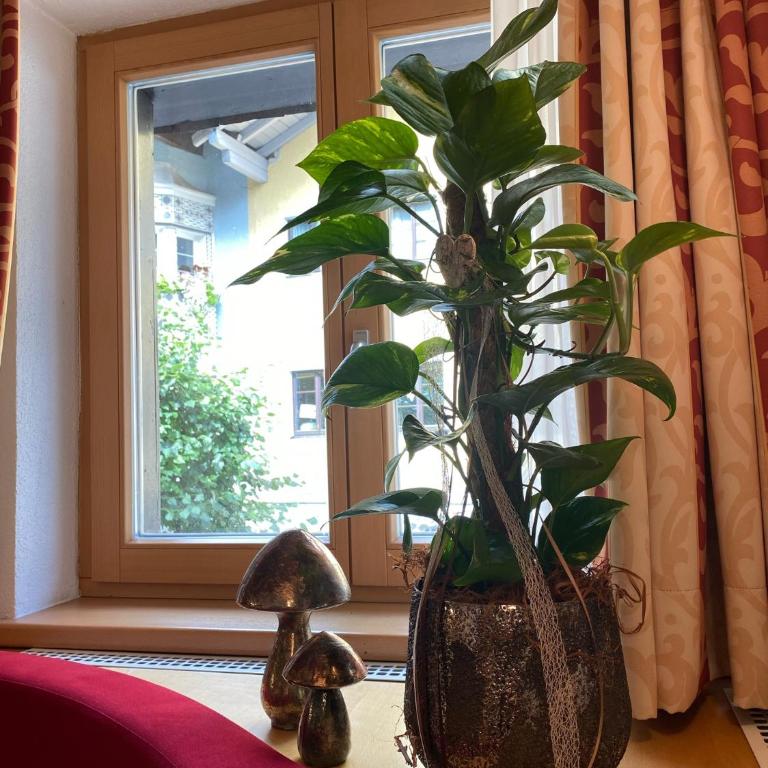 Apartment 54 - Apartment mit 2 Schlafzimmern - 10