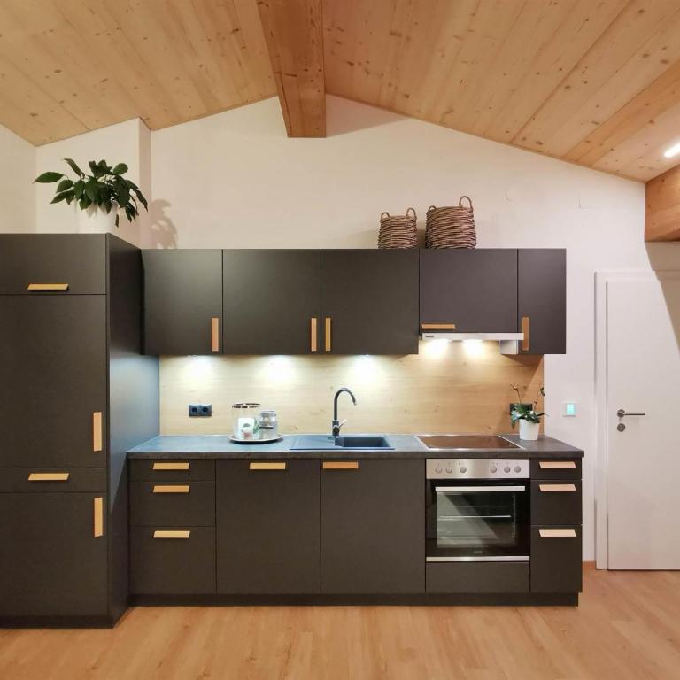 Naturhaus Netzer - Appartamento con 2 Camere da Letto e con Doccia - 17