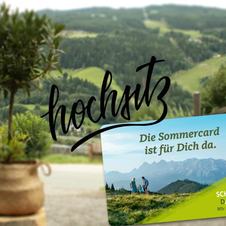 Hochsitz Schladming - Apartment - 4