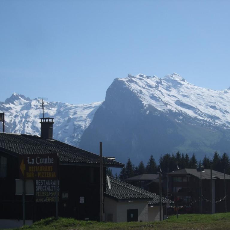 Chalet montagne 11 p Grand Massif 100 m télécabine - Chalet - 15