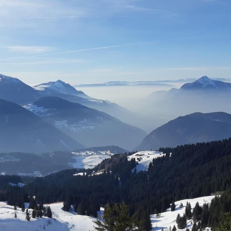 Chalet montagne 11 p Grand Massif 100 m télécabine - Chalet - 18