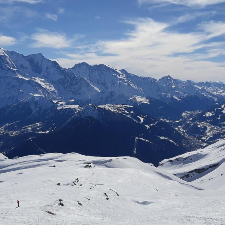 Chalet montagne 11 p Grand Massif 100 m télécabine - Chalet - 19