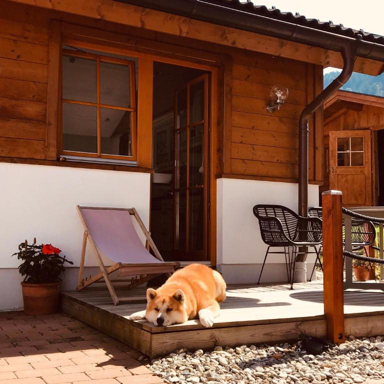 Dorfchalets & Apartments - in Kaprun centre including FREE entry Tauern Spa and Summer Card - Chalet (2 Erwachsene) - kostenfreier Zugang zum VIP Tauern Spa - 4