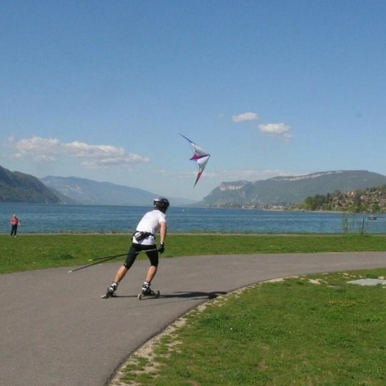 Le Lamartine, vue magnifique face au Lac du Bourget - Apartment with Lake View - 4