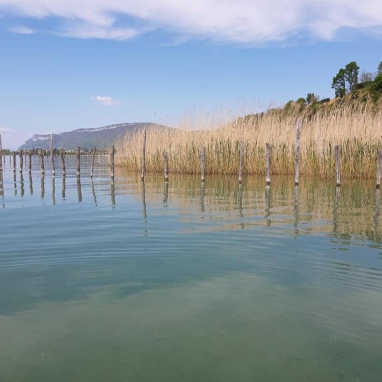 Le Lamartine, vue magnifique face au Lac du Bourget - Apartment with Lake View - 31