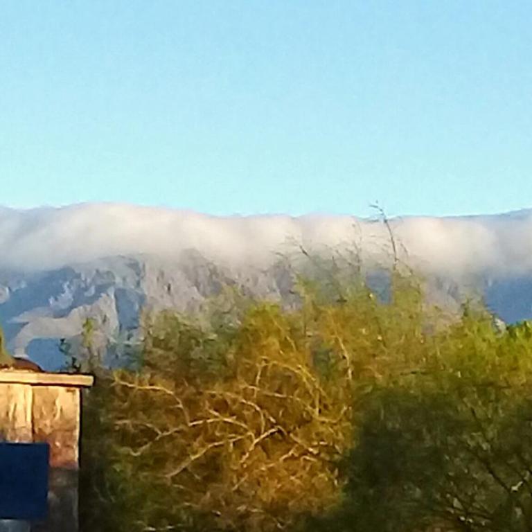 departamentos sosa - Apartamento - 37