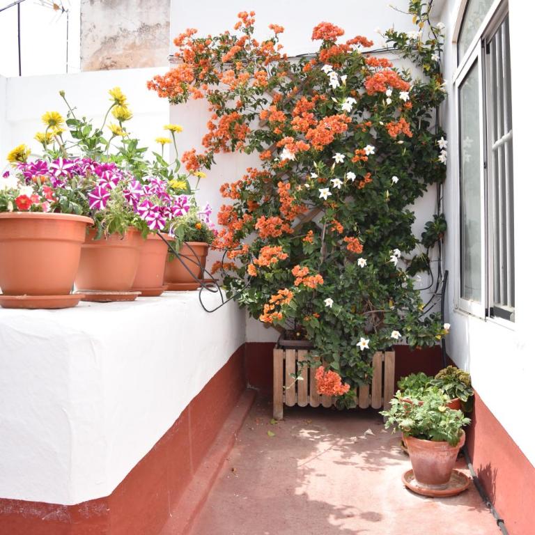 Apartamento La Discusión de Veedor 12 - Apartamento de 1 dormitorio - 21