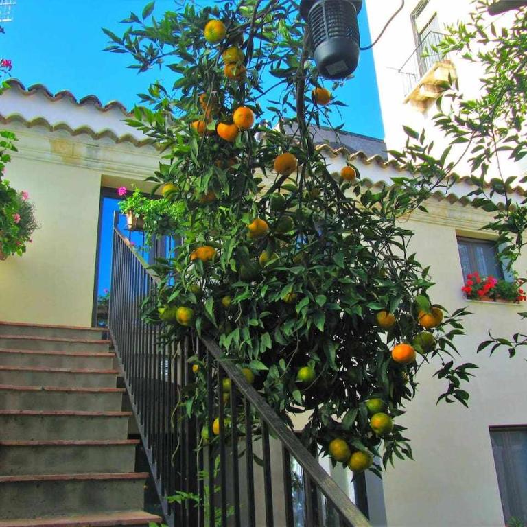B&B ComeinSicily Corte dei Limoni - Charme & Relax - Camera Matrimoniale con Vista Giardino - 26