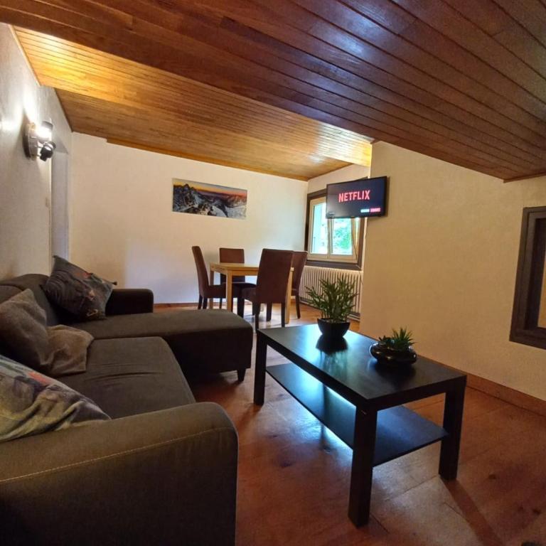 Logement mansardé dans maison avec jardin en bord de piste, vue montagne - Appartement 2 Chambres - 2
