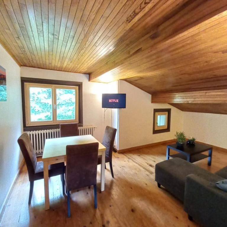 Logement mansardé dans maison avec jardin en bord de piste, vue montagne - Appartement 2 Chambres - 1